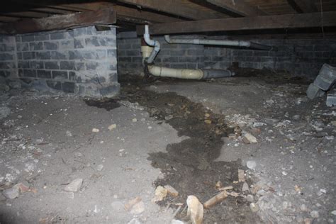 sewage leak in crawl space|How To Clean Up A Sewage Leak In Your Crawl Space